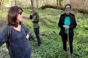 Sortie dans la forêt de Bezange 
