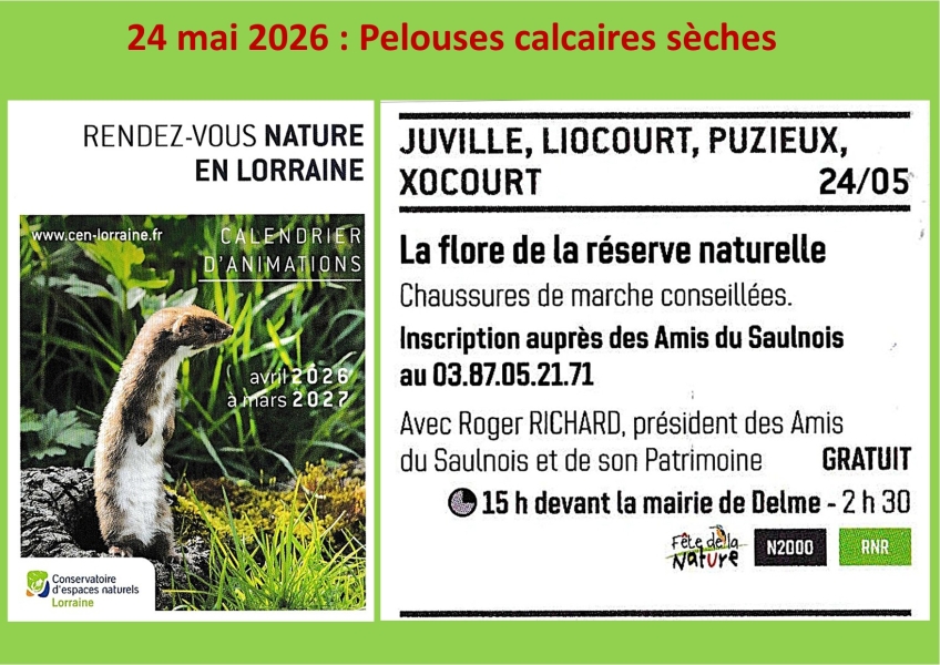 26 05 24 Cote de Delme