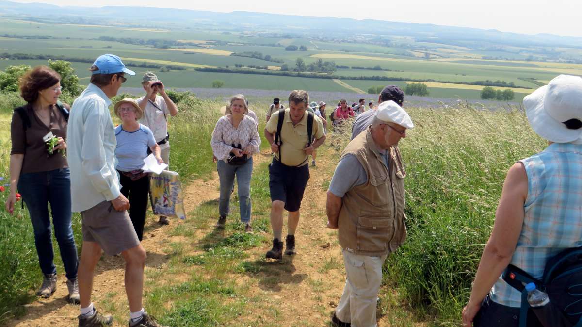 Arrivee_au_sommet_de_la_Cote_de_Delme_avec_les_Cotes_de_Moselle_a_l_horizon-1200